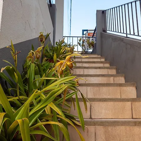 Traditional Madeira House Garden, Terrace & Bbq Casa vacanze Ribeira Brava