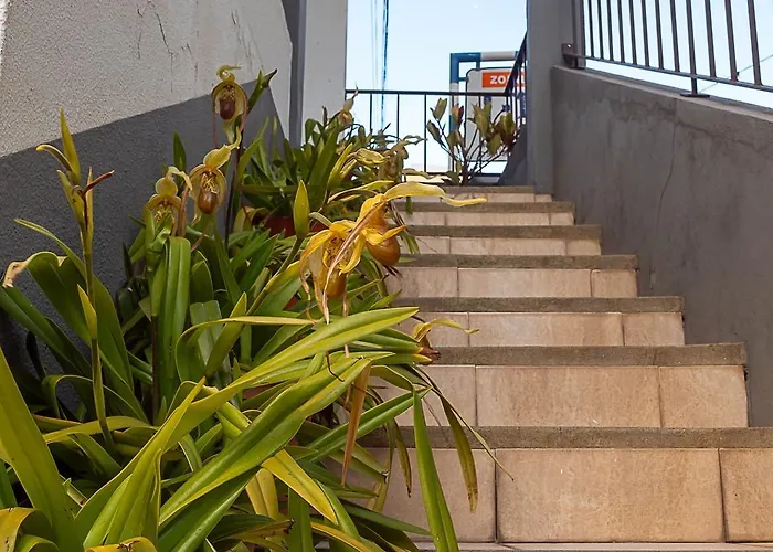 Traditional Madeira House Garden, Terrace & Bbq Casa vacanze Ribeira Brava