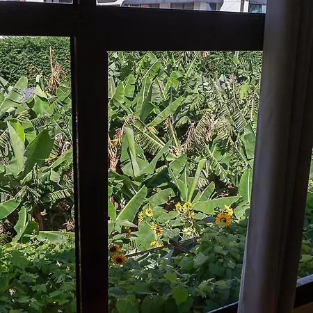 Traditional Madeira House Garden, Terrace & Bbq * Ribeira Brava