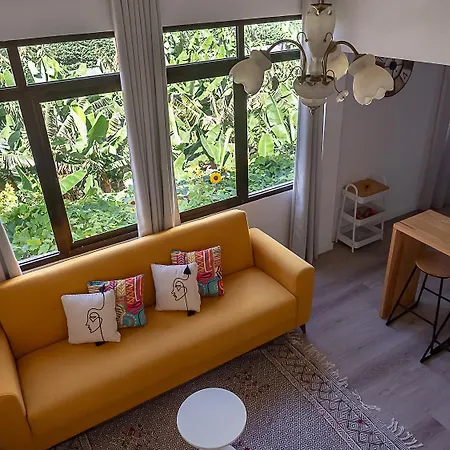 Traditional Madeira House Garden, Terrace & Bbq Casa vacanze *