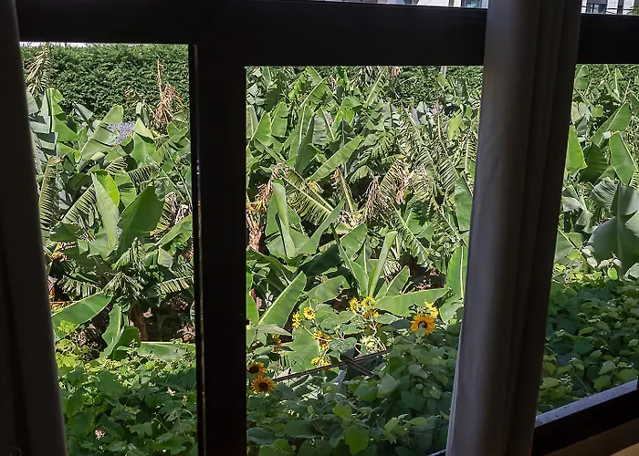 Traditional Madeira House Garden, Terrace & Bbq * Ribeira Brava